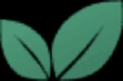 JC Landscaping